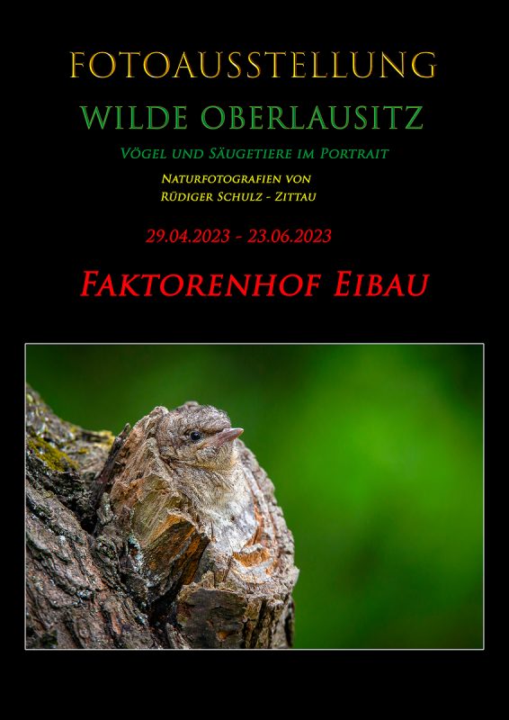 Ausstellung Rüdiger Schulz